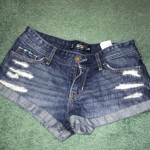 NWOT shorts